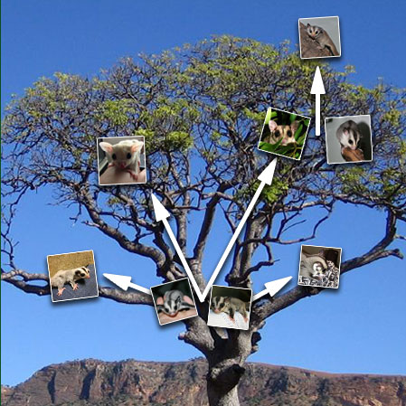 homelink-tree