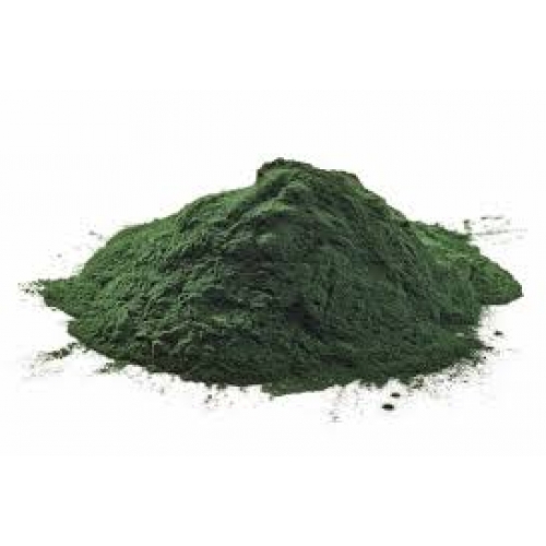 Spirulina-500x500