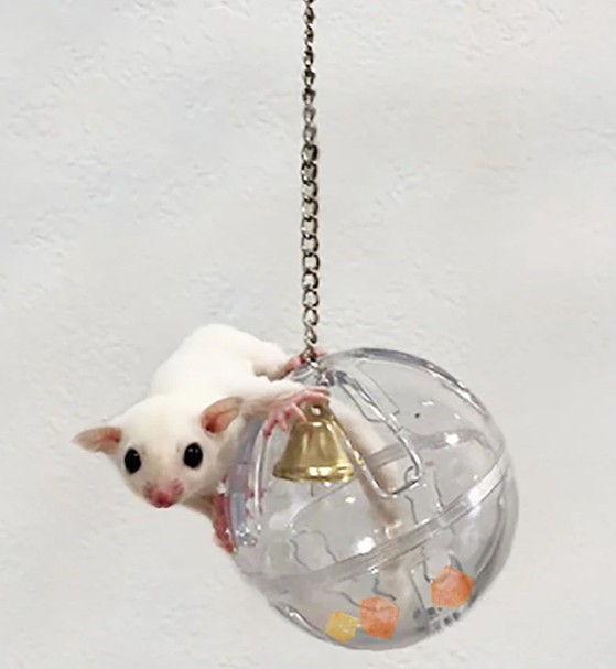 Forage Ball 2
